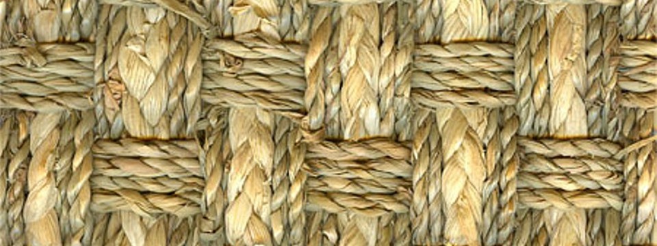 Seagrass-Maize